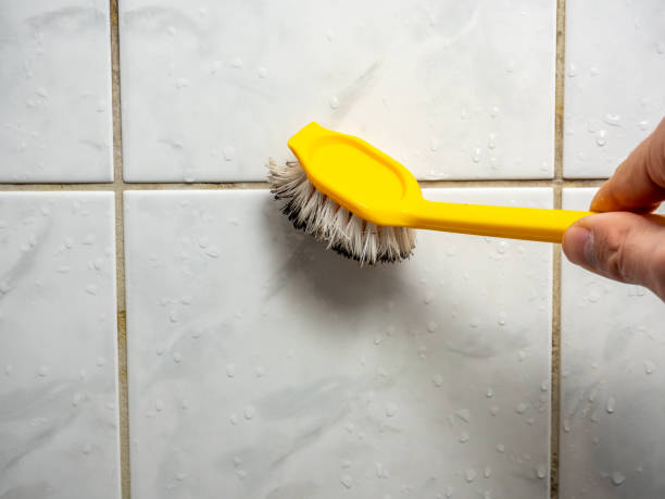 Best Professional Mold Removal  in Winchester, VA