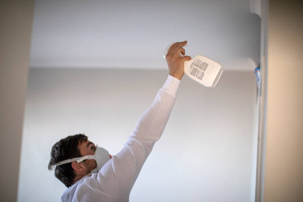 Best Certified Mold Removal  in Winchester, VA