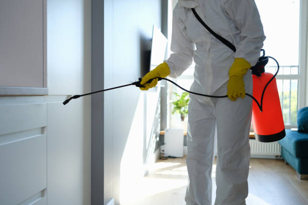 Certified Mold Removal in Winchester, VA