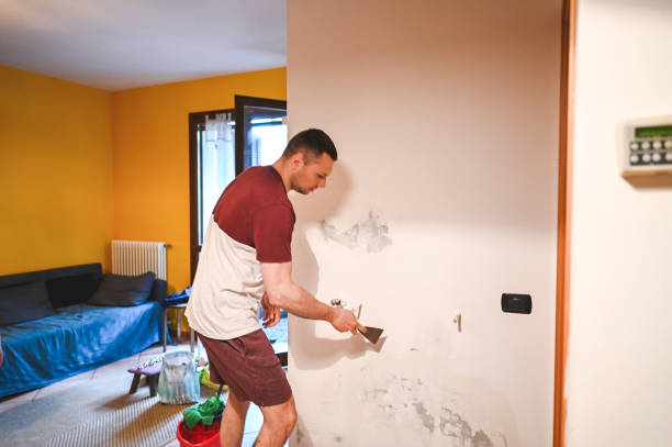 Best Toxic Mold Removal  in Winchester, VA